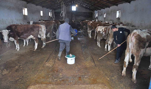 Kars&#039;ta Kadın Çiftçilere Süt Sağımı Eğitimi: Hijyen ve Kalite Odaklı Bir Adım