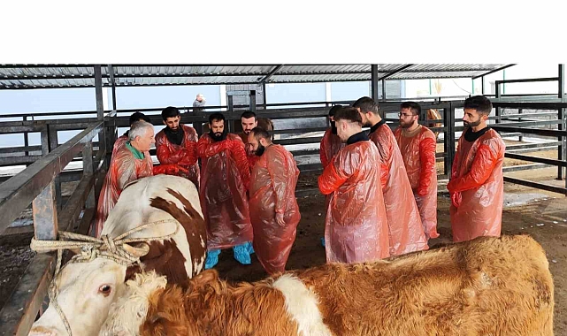 Kars&#039;ta Suni Tohumlama Kursuyla Hayvancılık Gelişiyor