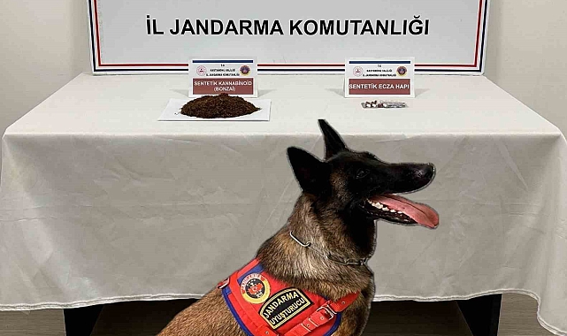 Kastamonu&#039;da 2 kilogram sentetik kannabinoid ele geçirildi