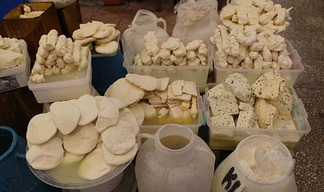 Köylerden toplanan peynir çeşitleri lezzetiyle tercih ediliyor