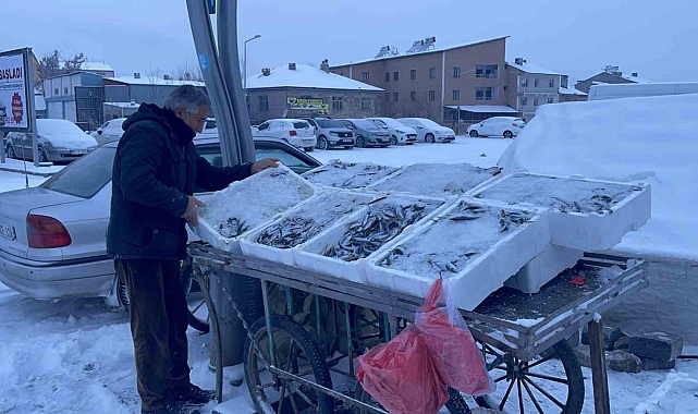 Malazgirt&#039;te Dondurucu Soğuklar Hayat Felç Etti!