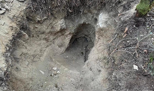 Sakarya&#039;da Kaçak Kazıya Baskın: Fotoğraf Tuzağı Çözdü