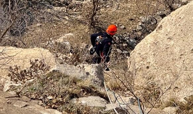 Siirt&#039;te Mahsur Kalan Keçiler AFAD Ekipleri Sayesinde Kurtarıldı