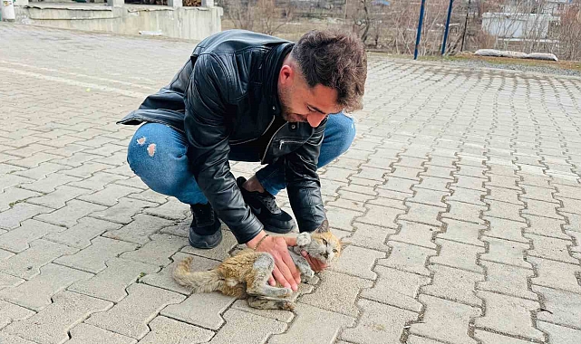 Şırnak&#039;ta Mucize Kurtuluş: Gençlerin Kalp Masajı Bir Canı Kurtardı