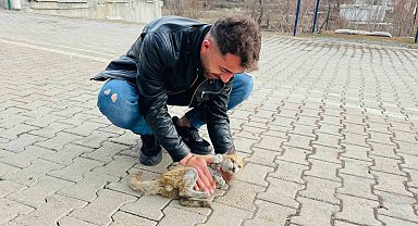 Şırnak'ta Mucize Kurtuluş: Gençlerin Kalp Masajı Bir Canı Kurtardı