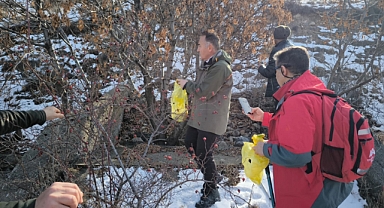 Üçkaya Vadisi'nde Tohum Toplama Etkinliğiyle Doğa Korunuyor