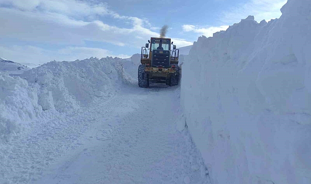 Van Başkale&#039;de Karla Mücadele Zorluyor