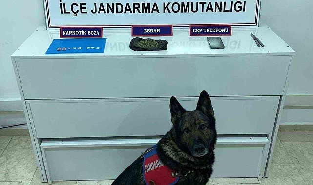 Van Erciş&#039;te Uyuşturucu Operasyonu: Asker Kaçağı Yakalandı