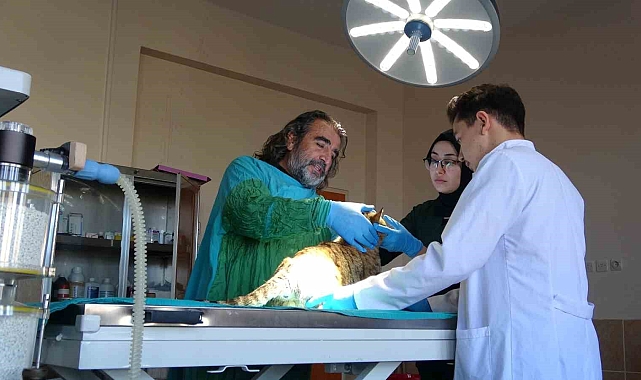 Van YYÜ Yaban Hayvanları Koruma Merkezi: 500 Hayvana Yeni Bir Hayat