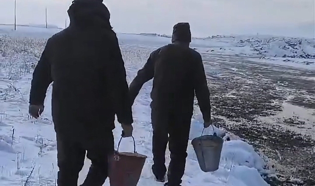 Van&#039;da Kuşlar İçin Sofra Kuruldu!