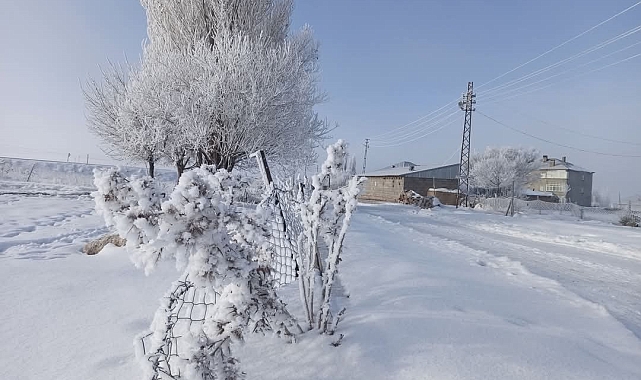 Van&#039;ın Özalp ve Saray İlçelerinde Hayat Dondurucu Soğuklar Yüzünden Felç Oldu