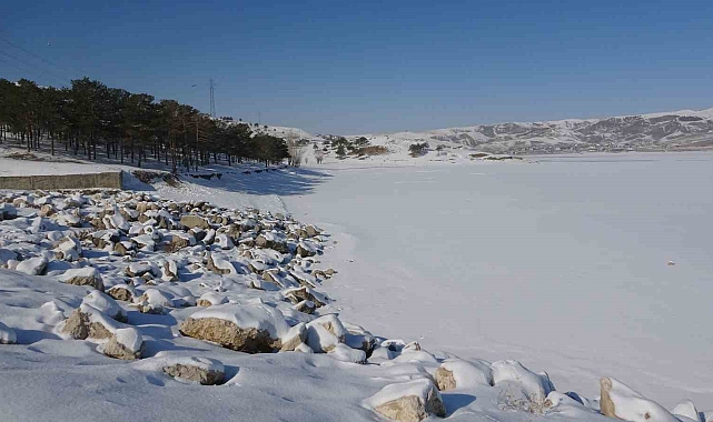 Van&#039;ın Sıhke Gölü&#039;nde Kış Masalı: Buz Tutmuş Göl ve Binlerce Martı