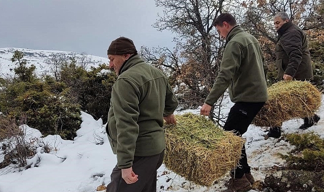 Yaban hayvanları için doğaya yem bırakıldı