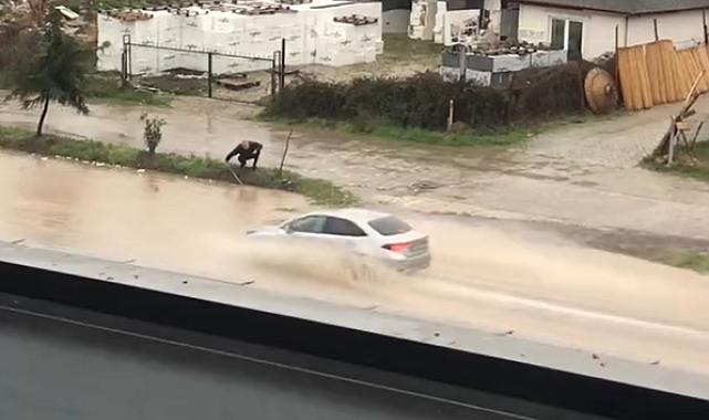 Yalova&#039;da Kahraman Vatandaş Su Baskınını Önledi: Felaket Anında Kahramanlık