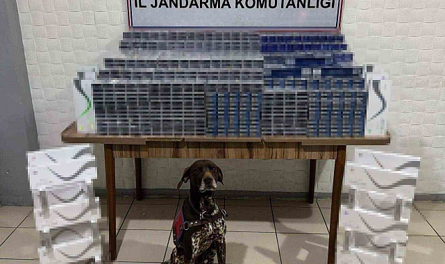 Ağrı&#039;da 6 bin 548 paket kaçak sigara ele geçirildi