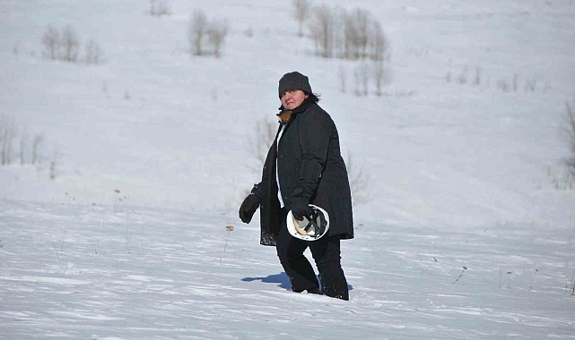 Ardahan&#039;da Aras Elektrik&#039;ten Milyarlık Yatırım ve Rekor Memnuniyet
