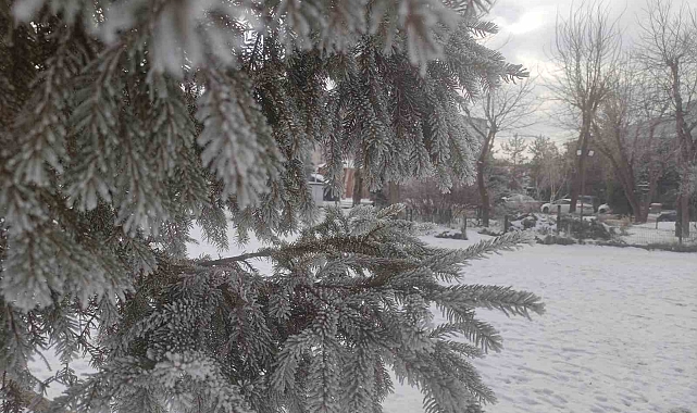 Ardahan&#039;da Dondurucu Soğuklar Hayatı Olumsuz Etkiliyor
