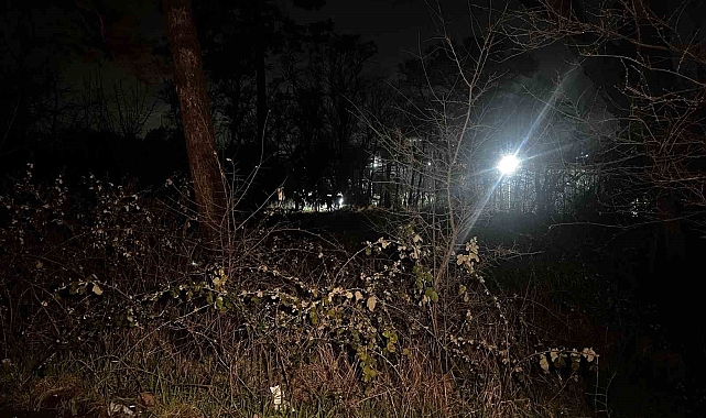 Arnavutköy&#039;de Ağaçlık Alanda Erkek Cesedi Bulundu