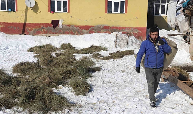 Bitlis'te Zorlu Kış Şartları: Besiciler Hayvanları İçin Karşılaşılan Zorluklara Rağmen Mücadele Ediyor