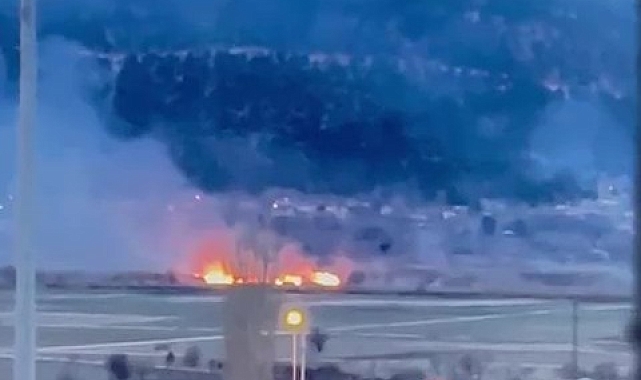 Denizli&#039;de Sazlık Yangını: Binlerce Canlı Telef Oldu