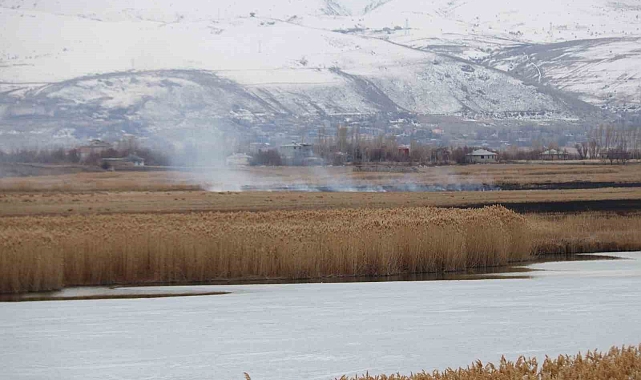 Dilkaya sazlığında yangın