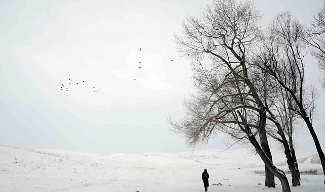 Doğu&#039;da Dondurucu Soğuklar Devam Ediyor: Termometreler -25.2&#039;yi Gördü