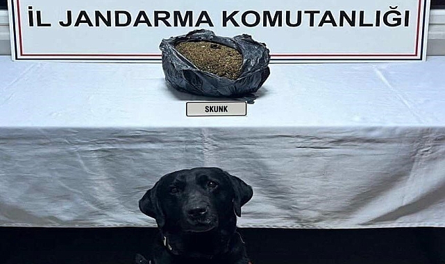 Düzce&#039;de Uyuşturucu Operasyonu: Otomobilin Motor Kaputunda Skunk Ele Geçirildi