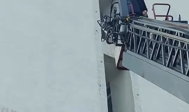 Elazığ&#039;da bir binanın dış cephesindeki tele takılan karga, itfaiye ekiplerinin yardımıyla kurtarıldı.