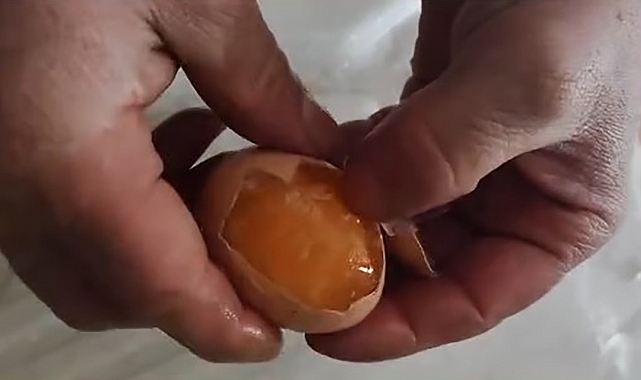 Elazığ&#039;da Soğuk Hava Yumurtaları Dondurdu