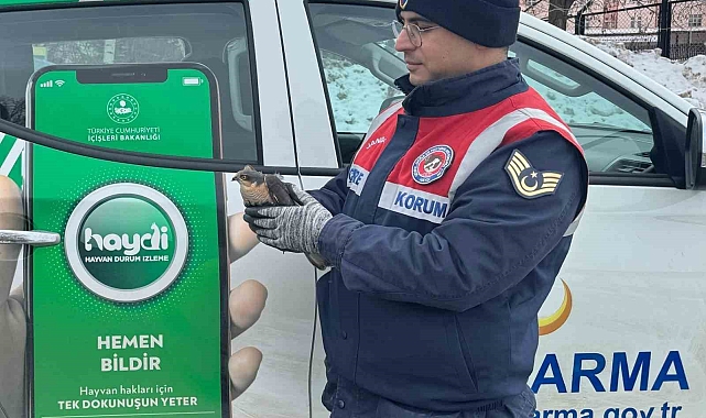 Erzurum&#039;da Jandarmadan Şefkat Eli: Bitkin Bulunan Atmaca Tedaviye Alındı