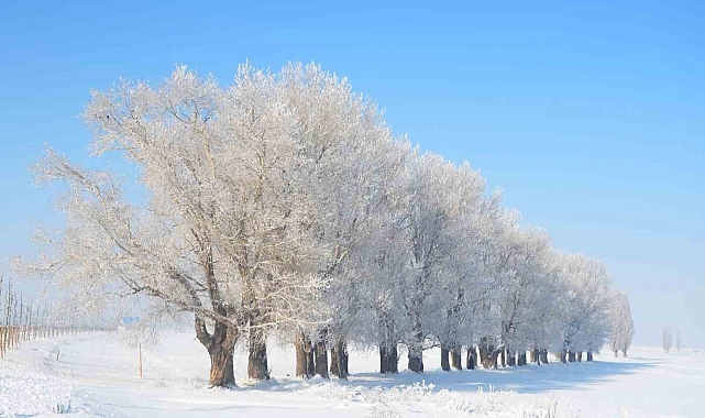Erzurum&#039;da Termometreler -28,5&#039;i Gördü: Meteoroloji&#039;den Çığ ve Buzlanma Uyarısı!