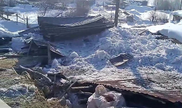 Erzurum'da Yoğun Kar Yağışı Evlerin Çatılarını Çökertti