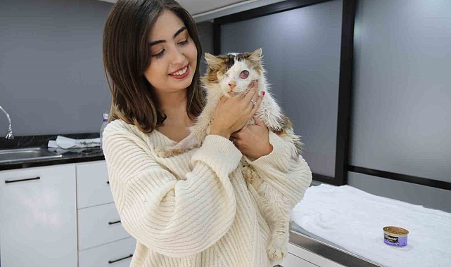 Eskişehir&#039;de Araç Çarpması Sonucu Bir Gözünü Kaybeden Kedi, Yeni Yuvasına Kavuşuyor