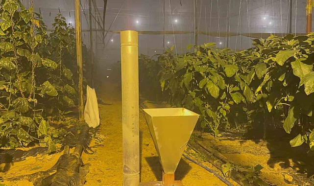 Gazipaşa&#039;da Zirai Don Alarmı: Üreticiler Seralarında Nöbet Tutuyor