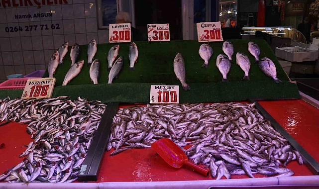 Hamsi Fiyatları Yükseldi, Vatandaş İstavrite Yöneldi