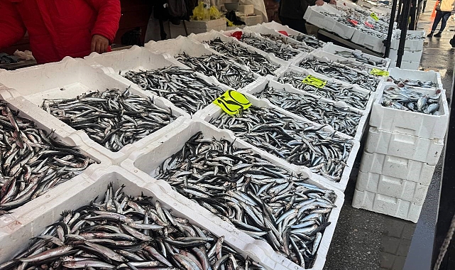 Hamsinin fiyatı düştü, vatandaş yoğun ilgi gösterdi
