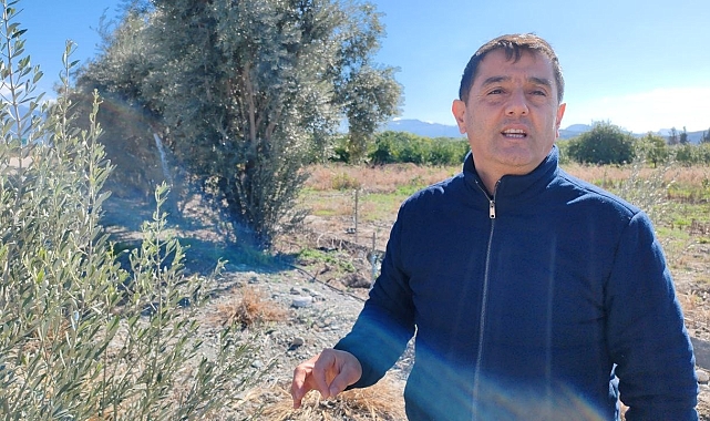 Hatay&#039;da Fidan Hırsızları Çiftçiyi Canından Bezdiriyor