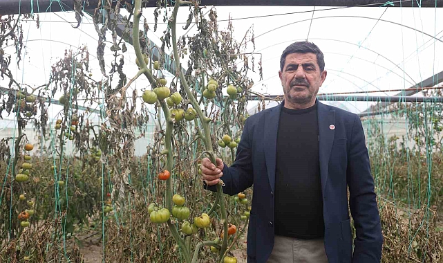 Hatay&#039;da Soğuk Hava Seracılığı Vurdu: İhracatlık Ürünler Dondu