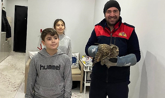 Iğdır'da Baykuş Kurtarma Operasyonu