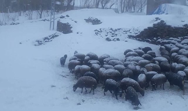 Iğdır&#039;da Kar Yağışı Başladı: Yüksek Kesimler Beyaza Bürüdü