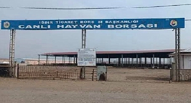 Iğdır Hayvan Pazarı Şap Hastalığı Nedeniyle Karantinaya Alındı
