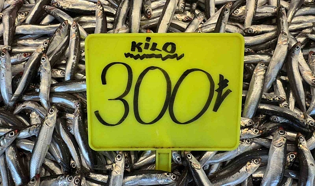 Kar yağışının ardından tezgahlarda son durum: Hamsi 400 TL, sardalya 200 TL