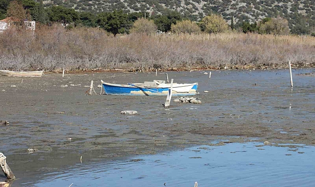 Karina&#039;da Deniz Suyu Çekilmesi: Olağan Bir Durum