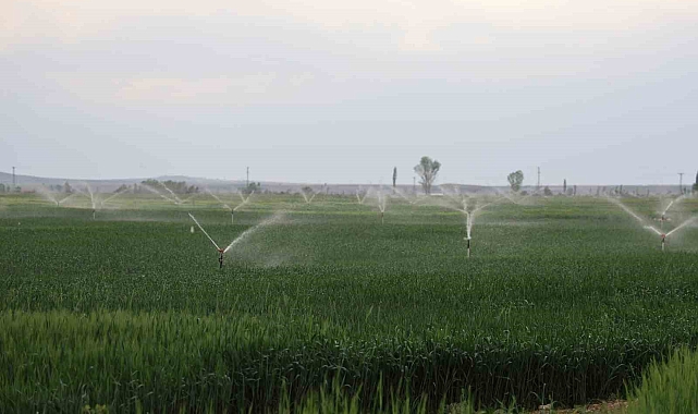 Konya Ovası&#039;nda Kuraklık Tehlikesi: Uzmanlardan Sulama Uyarısı