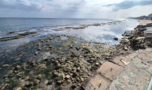 Marmara Denizi 10 metre çekildi, Kral Yolu ortaya çıktı