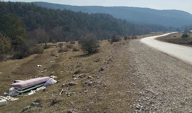 Mobilya eşyalarını doğaya attılar