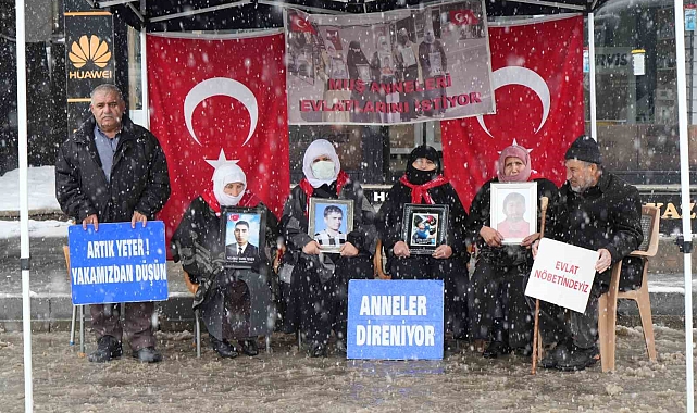 Muş&#039;ta Evlat Nöbeti Kar Altında Devam Ediyor