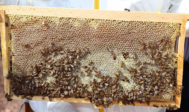 Sivas en 'ballı' 4. şehir oldu