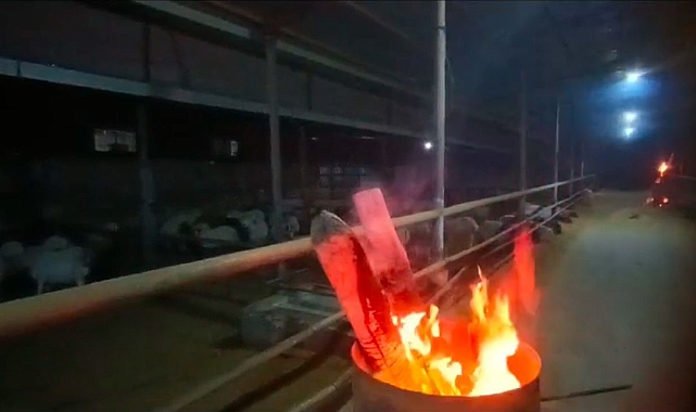 Siverek&#039;te Soğuk Hava Kabusu: Hayvanlarını ısıtmak için ahırda ateş yaktı