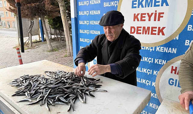 Soğuk Hava Balığı Coşturdu: Tezgahlarda Bolluk, Fiyatlarda Düşüş!